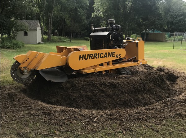 How to Easily Remove a Tree Stump - Tree Removal Experts