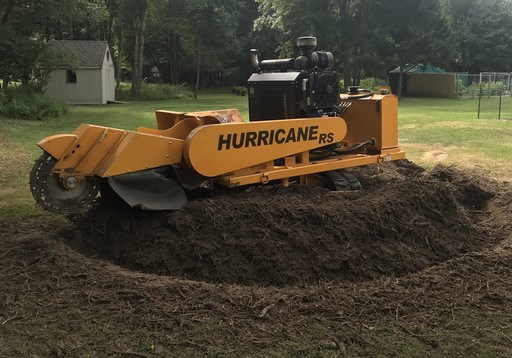 Fast, Affordable Stump Grinding