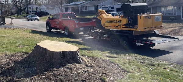 Stump Grinding Truck